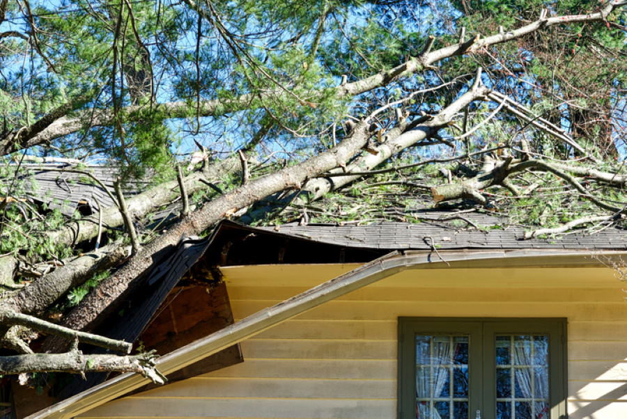 Storm Damage by Trinity Roofing